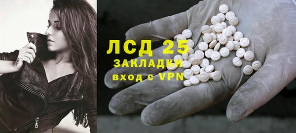 PSILOCYBIN Алзамай