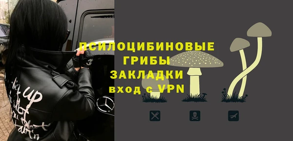PSILOCYBIN Алзамай