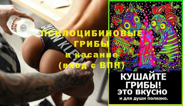 PSILOCYBIN Алзамай