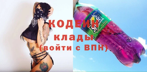 PSILOCYBIN Алзамай